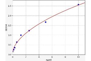 Tumor Necrosis Factor, alpha-Induced Protein 2 (TNFAIP2) ELISA Kit