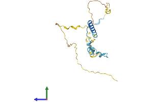 AlphaFold protein structure predicition of Mouse Recombinant Ift43 Protein, UniprotID Q9DA69
