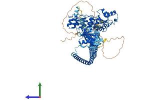 AlphaFold protein structure predicition of Human Recombinant ACAP1 Protein, UniprotID Q15027