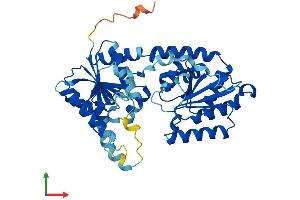 AlphaFold protein structure predicition of Mouse Recombinant Alg2 Protein, UniprotID Q9DBE8