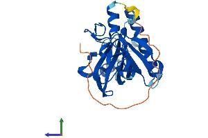 AlphaFold protein structure predicition of Mouse Recombinant Plekhf2 Protein, UniprotID Q91WB4
