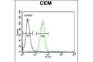 Flow cytometric analysis of CEM cells (right histogram) compared to a negative control cell (left histogram).