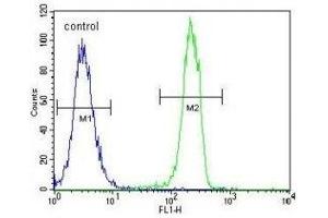 CT45A1 antibody flow cytometric analysis of K562 cells (green) compared to a negative control cell (blue). (CT45A1 anticorps  (AA 1-30))