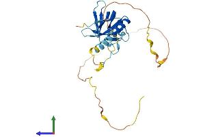 AlphaFold protein structure predicition of Mouse Recombinant Necap2 Protein, UniprotID Q9D1J1