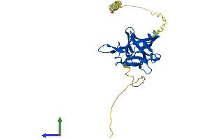 AlphaFold protein structure predicition of Human Recombinant FGF13 Protein, UniprotID Q92913