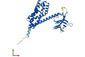 AlphaFold protein structure predicition of Human Recombinant ARHGEF39 Protein, UniprotID Q8N4T4