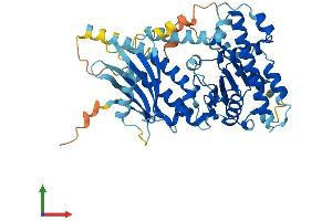 AlphaFold protein structure predicition of Human Recombinant C9orf72 Protein, UniprotID Q96LT7