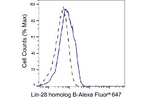 Validation of lin-28 homolog B knockdown using flow cytometry. (LIN28B anticorps)