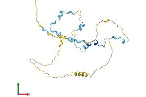 AlphaFold protein structure predicition of Human Recombinant MED19 Protein, UniprotID A0JLT2