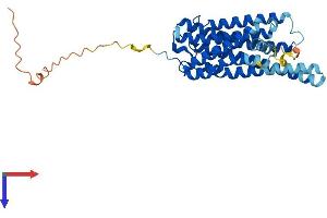 AlphaFold protein structure predicition of Human Recombinant GPR12 Protein, UniprotID P47775