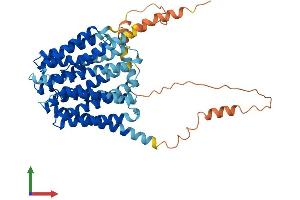AlphaFold protein structure predicition of Mouse Recombinant Slc19a1 Protein, UniprotID P41438