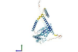 AlphaFold protein structure predicition of Mouse Recombinant Nfkbil1 Protein, UniprotID O88995