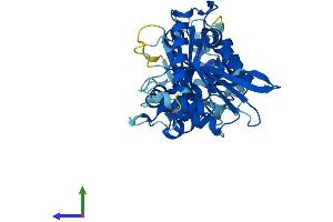 AlphaFold protein structure predicition of Human Recombinant APOBEC3G Protein, UniprotID Q9HC16