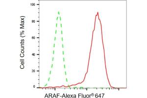 Flow cytometric analysis of ARAF expression in HepG2 cells using ARAF antibody ( (ABIN7800798), 1:2,000). (Recombinant ARAF anticorps)