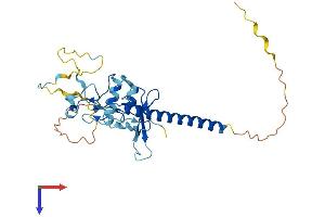 AlphaFold protein structure predicition of Human Recombinant MBD3 Protein, UniprotID O95983