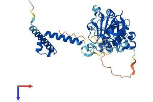 AlphaFold protein structure predicition of Human Recombinant SIRT7 Protein, UniprotID Q9NRC8