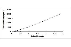Typical standard curve (DUSP1 Kit ELISA)