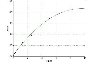 Topoisomerase (DNA) II beta 180kDa (TOP2B) ELISA Kit