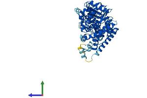 AlphaFold protein structure predicition of Human Recombinant CYP4F3 Protein, UniprotID Q08477