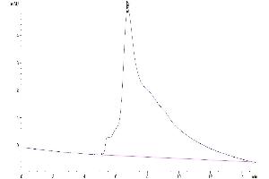 The purity of Cynomolgus GFRAL is greater than 95 % as determined by SEC-HPLC.