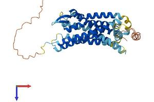 Chemokine (C-C Motif) Receptor 6 (CCR6) (AA 1-374) protein (His tag)