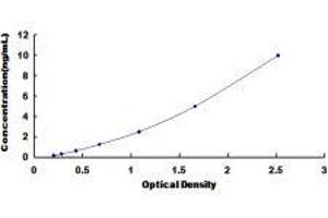 Interferon, gamma-Inducible Protein 30 (IFI30) ELISA Kit