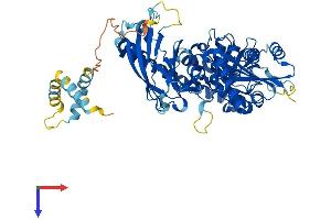 AlphaFold protein structure predicition of Human Recombinant CEP76 Protein, UniprotID Q8TAP6