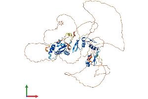 AlphaFold protein structure predicition of Human Recombinant ZBTB33 Protein, UniprotID Q86T24