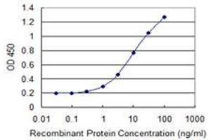 Detection limit for recombinant GST tagged CHST5 is 0. (CHST5 anticorps  (AA 310-390))