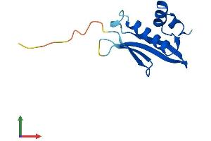 AlphaFold protein structure predicition of Mouse Recombinant Natd1 Protein, UniprotID Q9DBW3