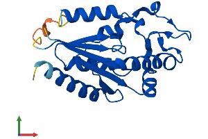 AlphaFold protein structure predicition of Mouse Recombinant Nmrk1 Protein, UniprotID Q91W63