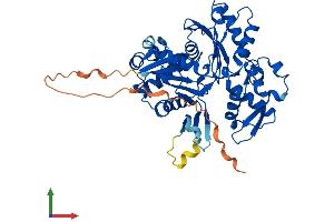AlphaFold protein structure predicition of Human Recombinant ACTL7B Protein, UniprotID Q9Y614