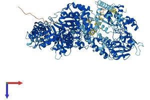 AlphaFold protein structure predicition of Human Recombinant MTR Protein, UniprotID Q99707