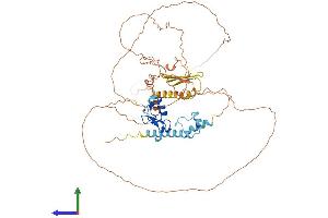 AlphaFold protein structure predicition of Human Recombinant RLIM Protein, UniprotID Q9NVW2