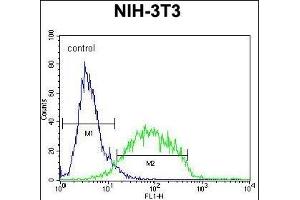 GCNT3 Antibody (C-term) (ABIN654928 and ABIN2844571) flow cytometric analysis of NIH-3T3 cells (right histogram) compared to a negative control cell (left histogram). (GCNT3 anticorps  (C-Term))