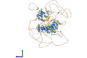 AlphaFold protein structure predicition of Human Recombinant ANKS1B Protein, UniprotID Q7Z6G8