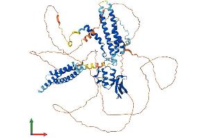 AlphaFold protein structure predicition of Human Recombinant CNOT3 Protein, UniprotID O75175