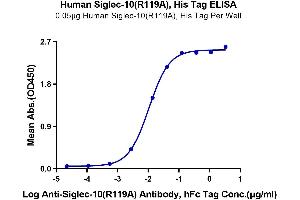 Immobilized Human Siglec-10 (R119A) , His Tag at 0.