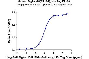 Immobilized Human Siglec-10 (R119A) , His Tag at 0. (SIGLEC10 Protein (Arg119Ala-Mutant) (His-Avi Tag))