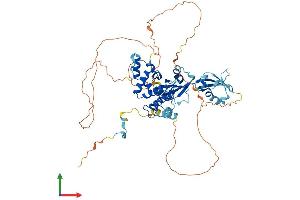 AlphaFold protein structure predicition of Mouse Recombinant Rgs14 Protein, UniprotID P97492