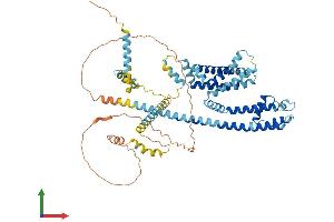 AlphaFold protein structure predicition of Mouse Recombinant Catsper2 Protein, UniprotID A2ARP9