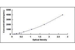 ELISA image for Apoprotein B100 (Apo-B100) ELISA Kit (ABIN416402)