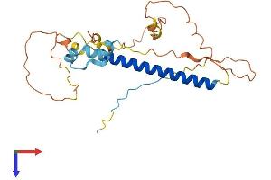 AlphaFold protein structure predicition of Human Recombinant LURAP1 Protein, UniprotID Q96LR2