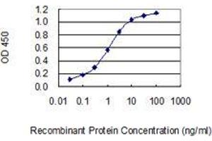 Detection limit for recombinant GST tagged GABRE is 0. (GABRE anticorps  (AA 1-100))