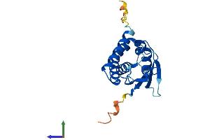 AlphaFold protein structure predicition of Mouse Recombinant Trappc3l Protein, UniprotID Q4KL14