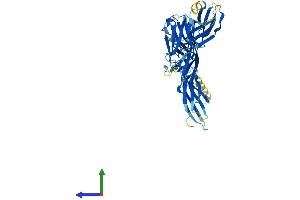 AlphaFold protein structure predicition of Mouse Recombinant Btnl2 Protein, UniprotID O70355