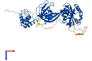 AlphaFold protein structure predicition of Mouse Recombinant Nudt12 Protein, UniprotID Q9DCN1