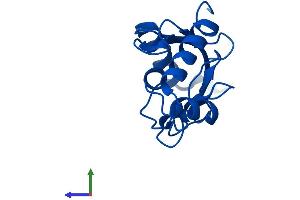AlphaFold protein structure predicition of Human Recombinant UBE2N Protein, UniprotID P61088