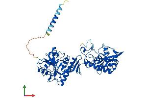 AlphaFold protein structure predicition of Mouse Recombinant Fkrp Protein, UniprotID Q8CG64