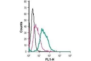 Cell surface detection of DAT in mouse J774 macrophages: (black line) Cells.